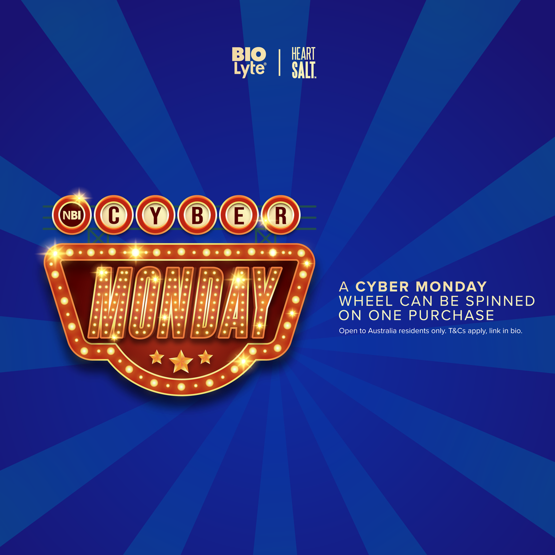 NBI CyberMonday - Terms & Conditions